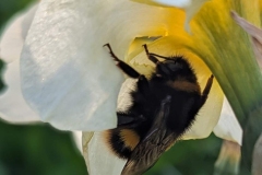 435113533_729376722723159_2780169831520676446_n