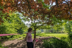 440441613_746245081036323_6105571256191287733_n