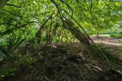 440465586_746244877703010_6460545505824753304_n